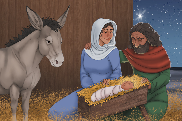 Jesus' parents were descendants of Abraham and King David. Josephs wife Mary was impregnated by the Holy Spirit, having a virgin birth. She gave birth to Jesus who was laid in a manger (food trough for animals) and grew up as a Jew.